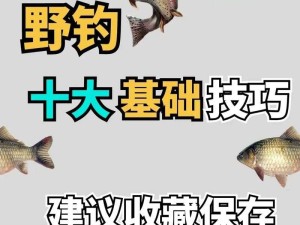 如何在沉没之城中高效钓鱼？钓鱼方法详解与技巧分享