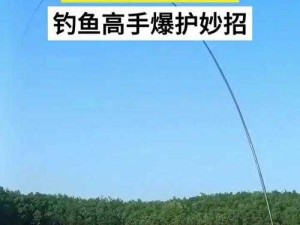 尼尔人工生命升级版怎么钓鱼？详细技巧与实用攻略分享