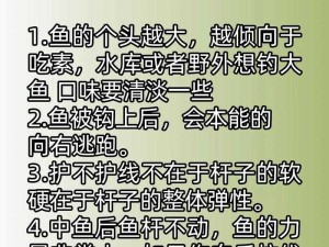 如何在最远的边陲抓鱼？需要注意什么？高效抓鱼技巧分享