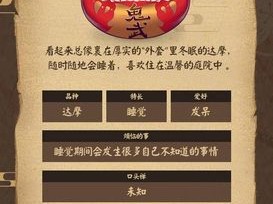 阴阳师达摩大全！老玩家教你这样抽才不亏！手把手教你避开90%新手的资源浪费陷阱