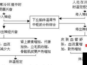 华夏人生如何有效控制体温？体温控制方法演变史专题揭秘