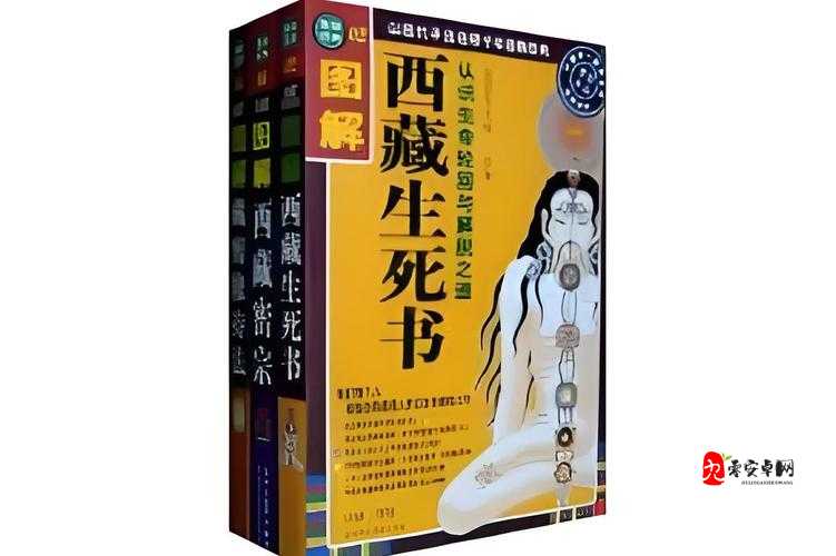 藏秘雄精：源自神秘高原的独特珍宝带来的奇妙功效