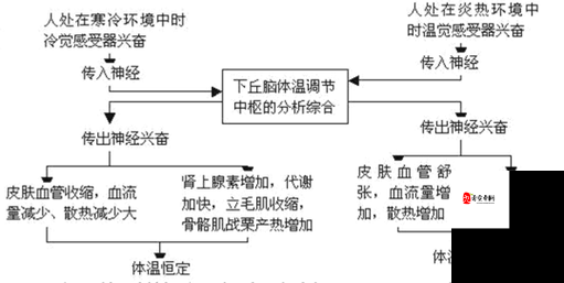 华夏人生体温怎么控制 体温控制方法一览——演变史专题