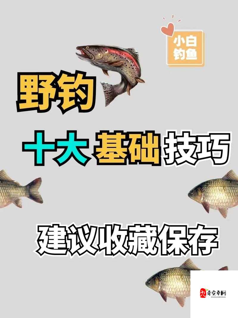 如何在沉没之城中高效钓鱼？钓鱼方法详解与技巧分享