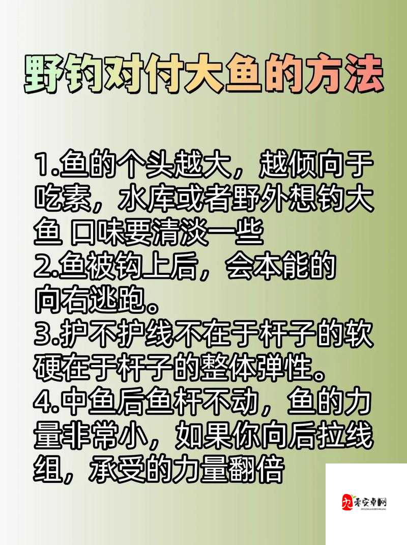 如何在最远的边陲抓鱼？需要注意什么？高效抓鱼技巧分享