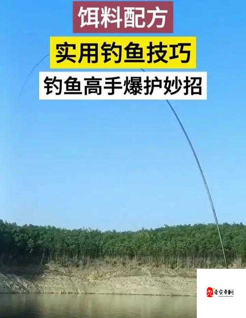 尼尔人工生命升级版怎么钓鱼？详细技巧与实用攻略分享